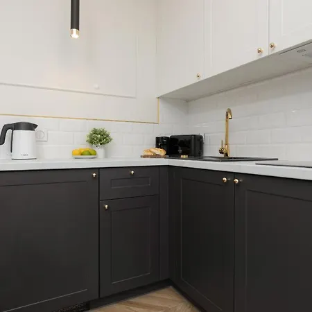 Apartment Moniuszki One-bedroom By Renters Warsaw