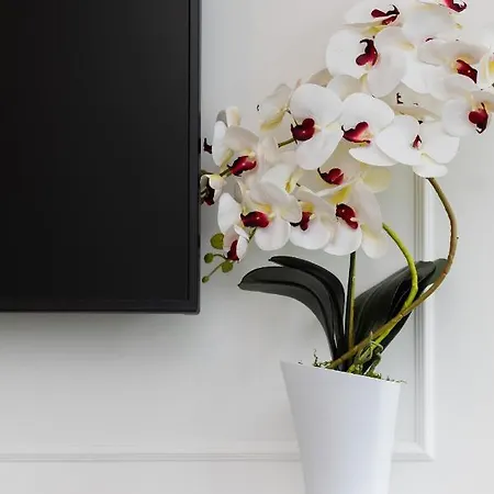 Moniuszki One-bedroom By Renters * وارسو